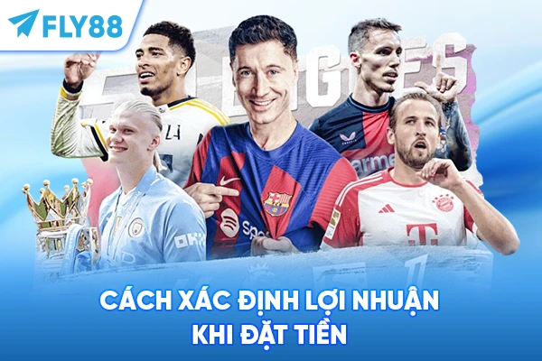 Cách xác định lợi nhuận khi đặt tiền