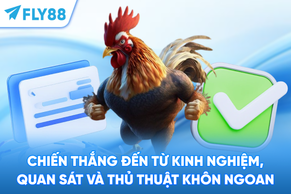 Chiến thắng đến từ kinh nghiệm, quan sát và thủ thuật khôn ngoan