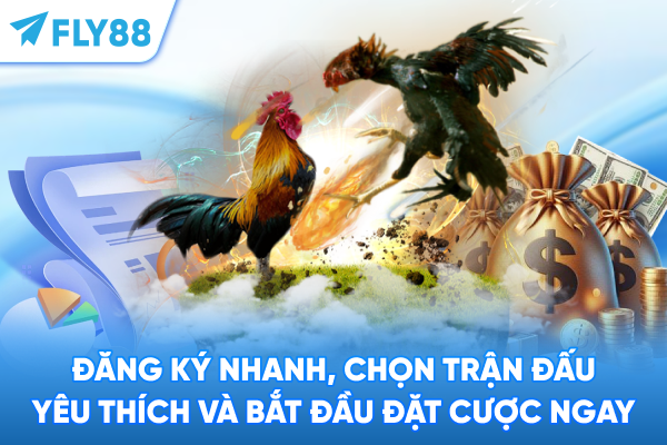Đăng ký nhanh, chọn trận đấu yêu thích và bắt đầu đặt cược ngay