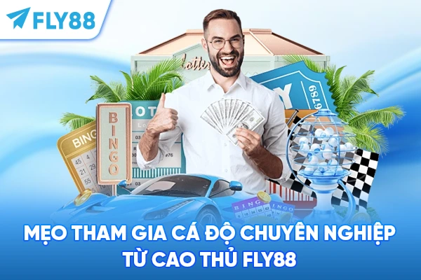 Mẹo tham gia cá độ chuyên nghiệp từ cao thủ FLY88