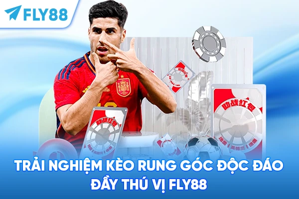 Trải nghiệm kèo rung góc độc đáo đầy thú vị Fly88