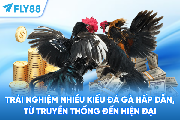 Trải nghiệm nhiều kiểu đá gà hấp dẫn, từ truyền thống đến hiện đại